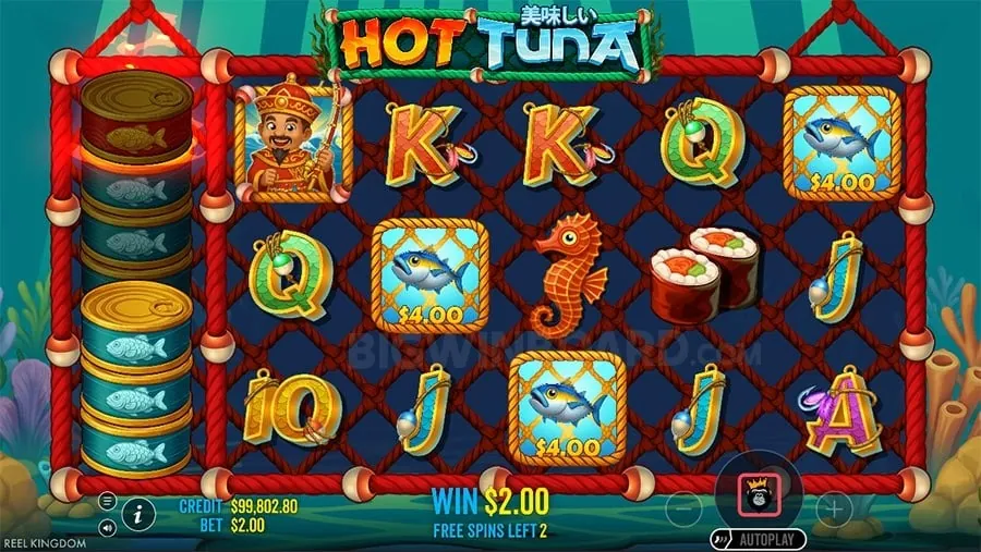 spinplus Gambling Glossary of Terms